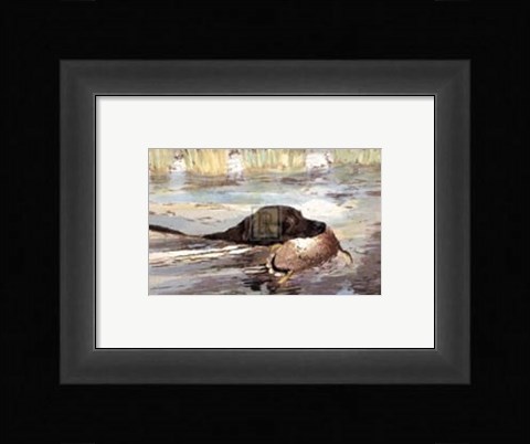Framed Bramshaw Bob Swimming (Sml) Print