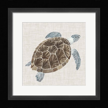 Framed Sea Turtle I Print