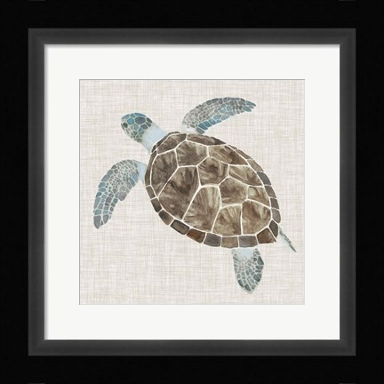 Framed Sea Turtle II Print