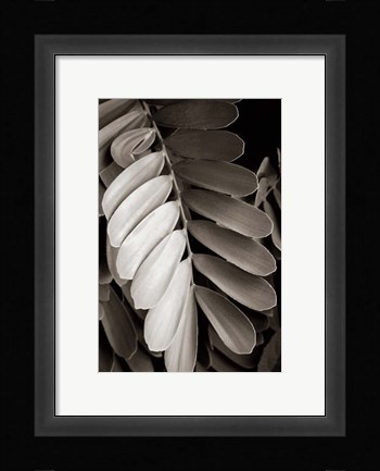Framed Tropical Plant I Print