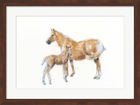 Framed Horse and Colt Print
