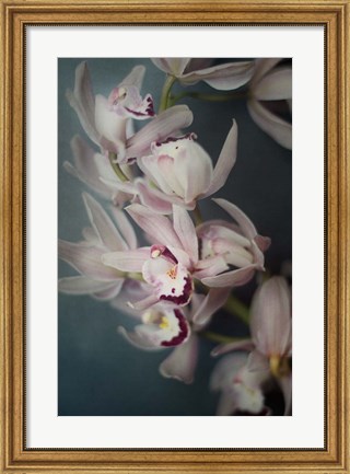 Framed Dark Orchid I Print