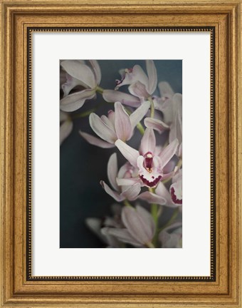 Framed Dark Orchid II Print