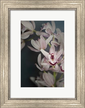 Framed Dark Orchid II Print
