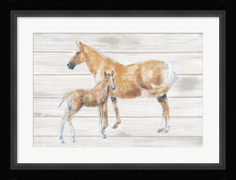 Framed Horse and Colt on Wood Print