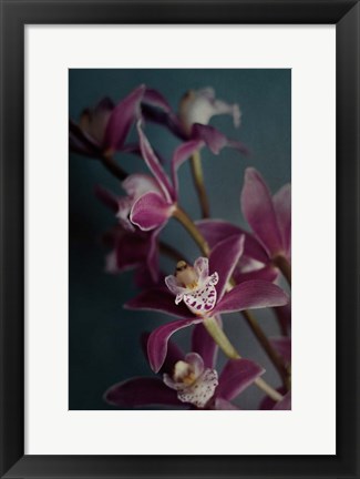 Framed Dark Orchid IV Print