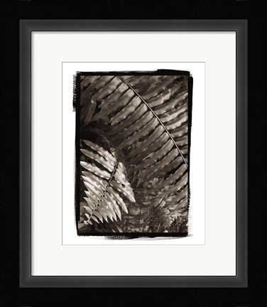 Framed Fern I Print