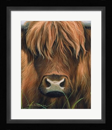 Framed Cow Portrait Print