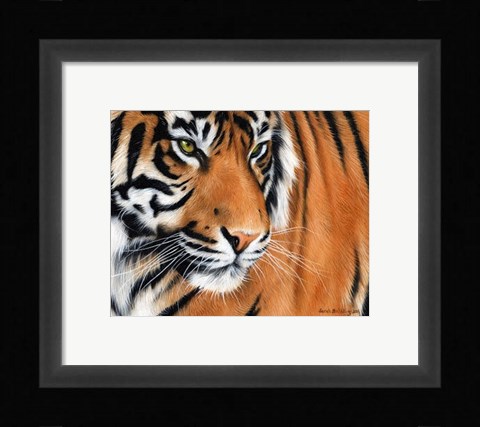 Framed Tiger Crop Print