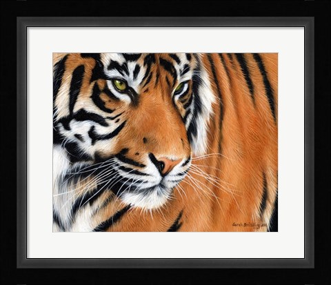 Framed Tiger Crop Print