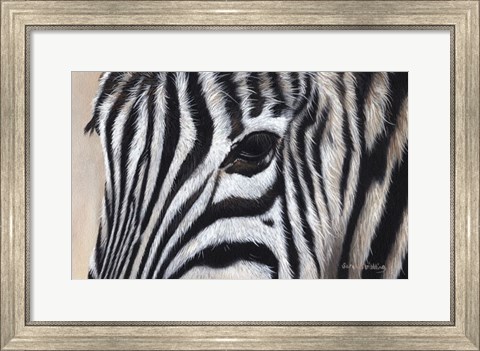 Framed Zebra Eyes Print