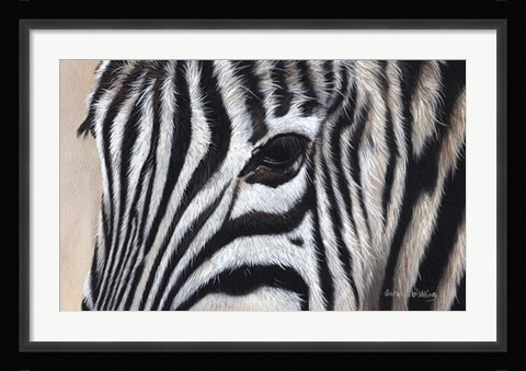 Framed Zebra Eyes Print
