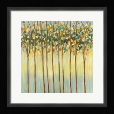 Framed Awakening Tree Tops Print