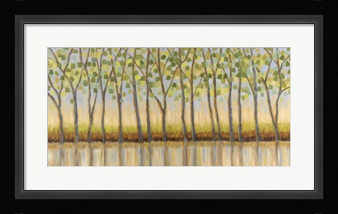 Framed Canopy of Trees Print