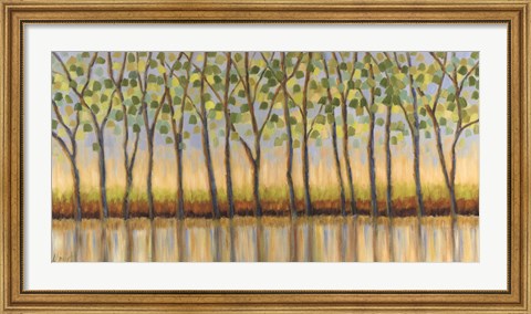 Framed Canopy of Trees Print
