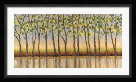 Framed Canopy of Trees Print
