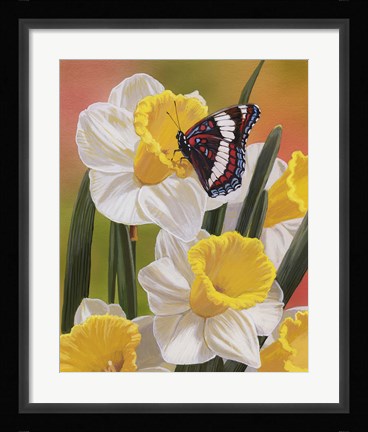 Framed Daffodils &amp; Butterfly Print
