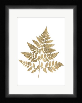 Framed Graphic Gold Fern I Print
