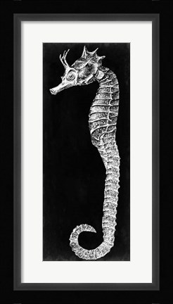Framed Seahorse Blueprint I Print