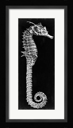 Framed Seahorse Blueprint II Print