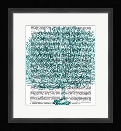 Framed Blue Corals and Sea Urchins IV Print