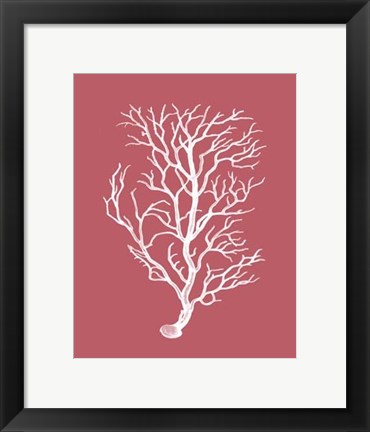 Framed Corals White on Coral b Print