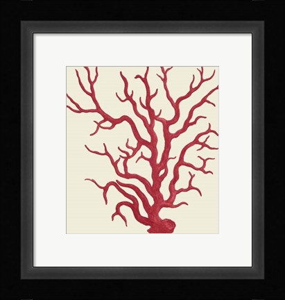 Framed Corals Coral On Cream a Print