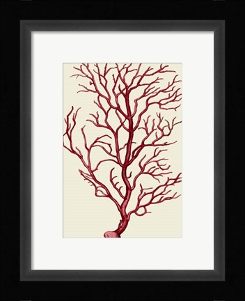 Framed Corals Coral On Cream b Print