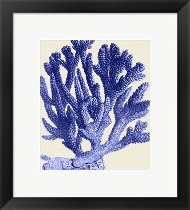 Framed Blue Corals a Print