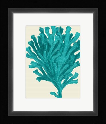Framed Corals Turquoise On Cream d Print