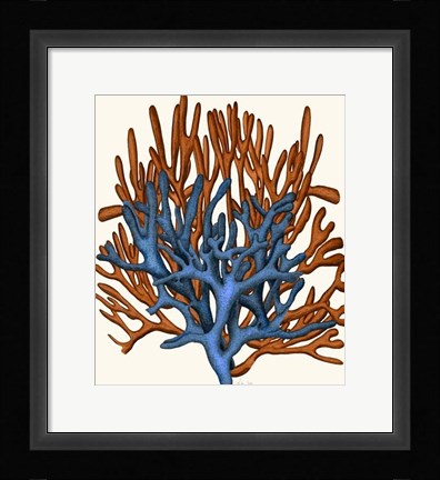 Framed Blue and Orange Corals b Print