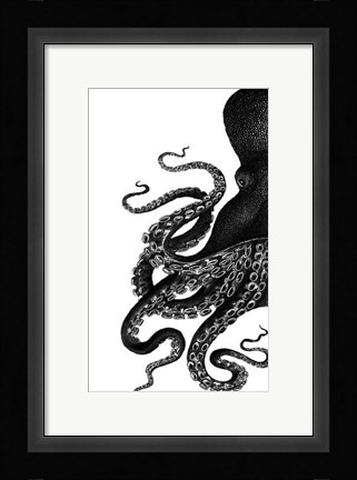 Framed Octopus Black and White a Print