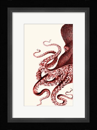 Framed Octopus Coral and Cream a Print