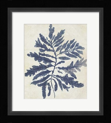 Framed Indigo Blue Seaweed 2 b Print