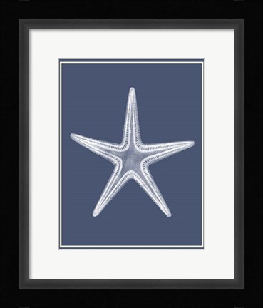 Framed Mixed Nautical White on Indigo Blue a Print