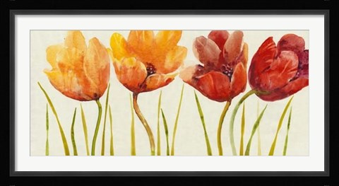 Framed Row of Tulips I Print