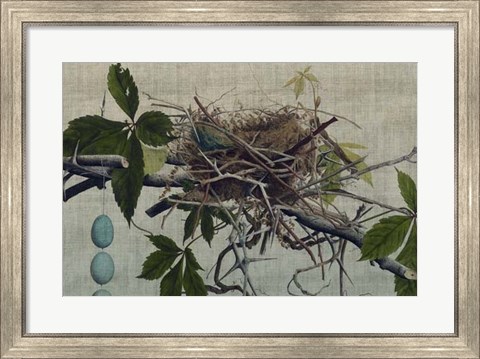Framed Nesting I Print