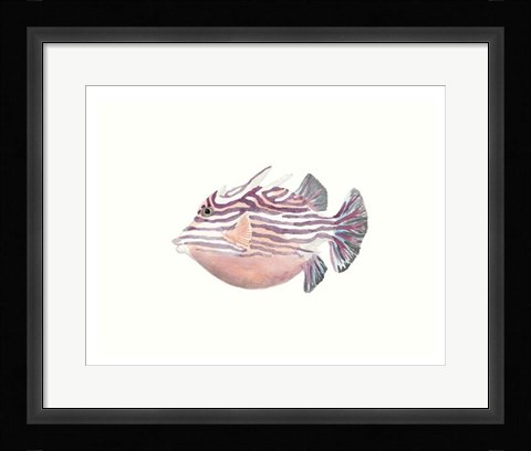 Framed Watercolor Tropical Fish II Print
