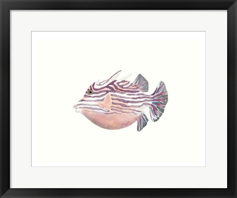 Framed Watercolor Tropical Fish II Print