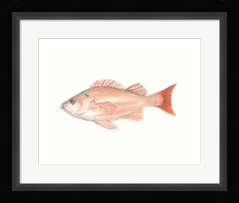 Framed Watercolor Deep Sea Fish I Print