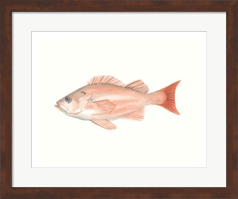 Framed Watercolor Deep Sea Fish I Print