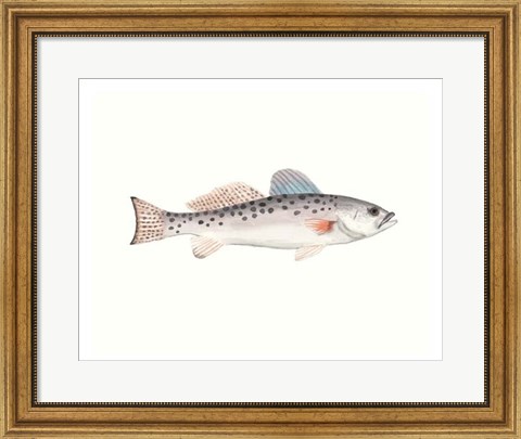 Framed Watercolor Deep Sea Fish IV Print