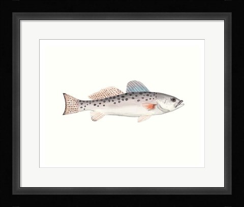 Framed Watercolor Deep Sea Fish IV Print