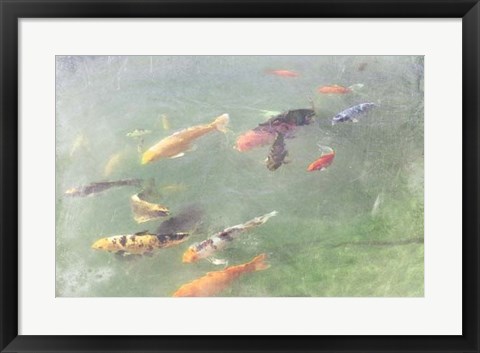 Framed Koi Reflections I Print