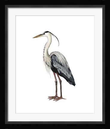 Framed Sea Bird I Print
