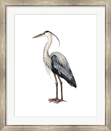 Framed Sea Bird I Print