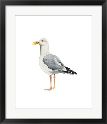 Framed Sea Bird II Print