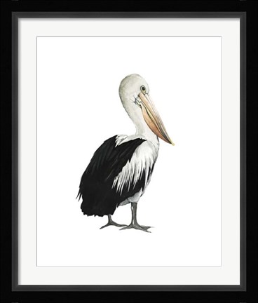 Framed Sea Bird IV Print