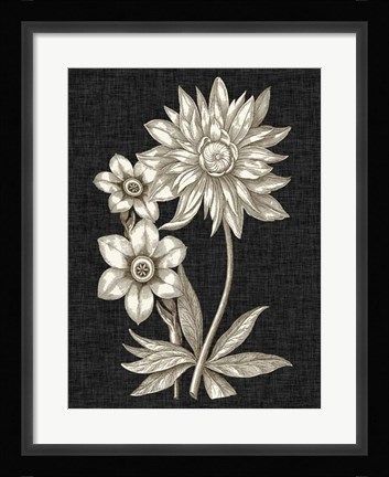 Framed Dramatic Chintz I Print