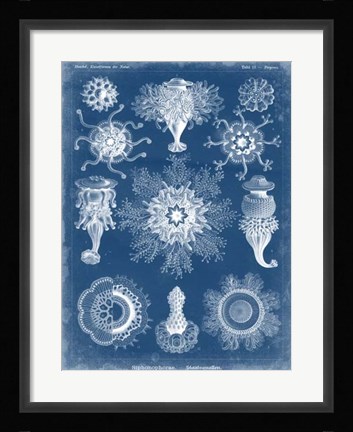 Framed Marine Blueprint I Print